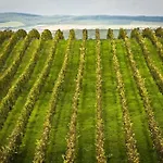 Hotell Wine Wellness Amande