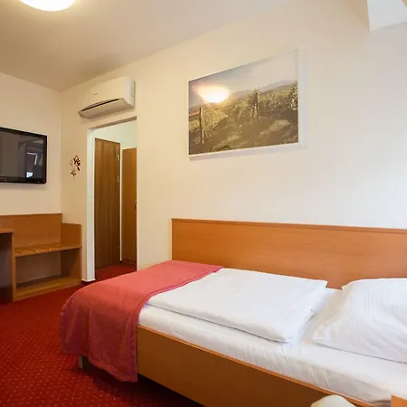 Wine Wellness Amande Hotel Hustopece