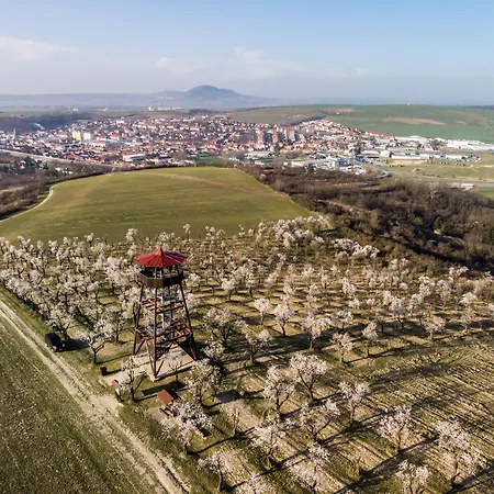 Hotel Wine Wellness Amande Hustopeče