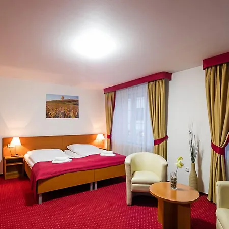 Wine Wellness Amande Hustopeče