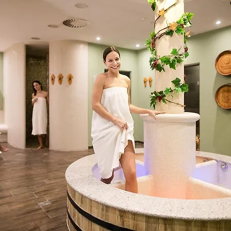 Hotel Wine Wellness Amande Hustopeče