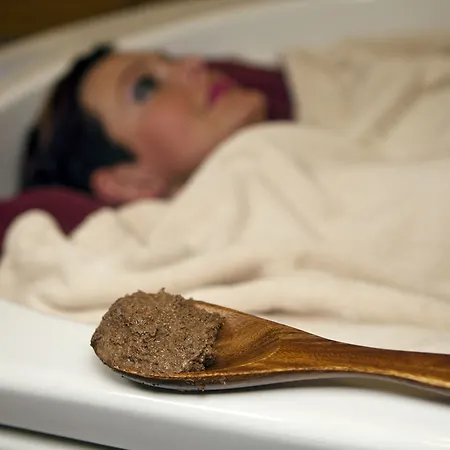 Wine Wellness Amande Hotel Hustopecze