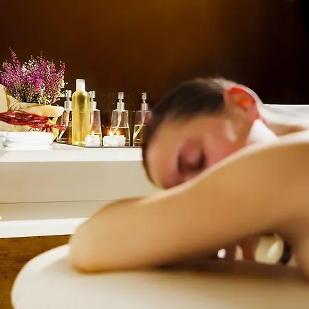 Wine Wellness Amande ホテル Hustopeče