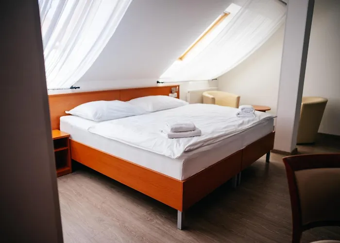 阿曼达胡斯托佩切葡萄酒健康酒店 酒店 Hustopeče