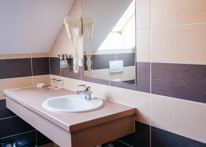 酒店 阿曼达胡斯托佩切葡萄酒健康酒店 Hustopeče