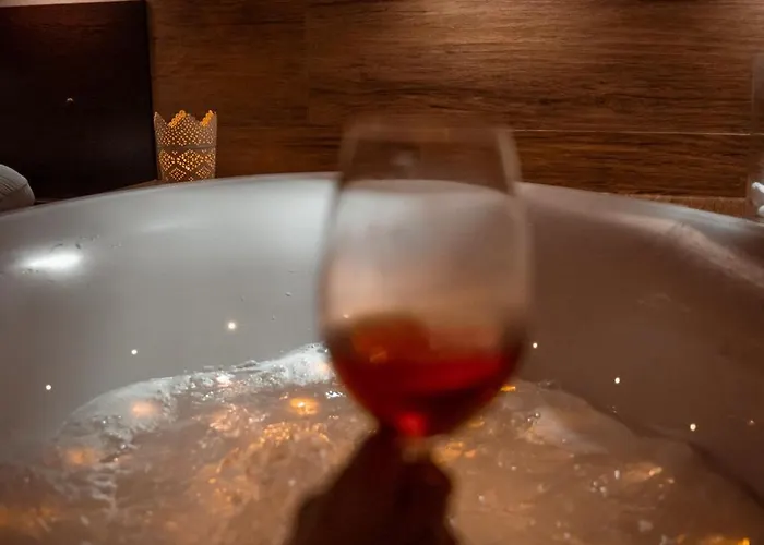 阿曼达胡斯托佩切葡萄酒健康酒店 Hustopeče