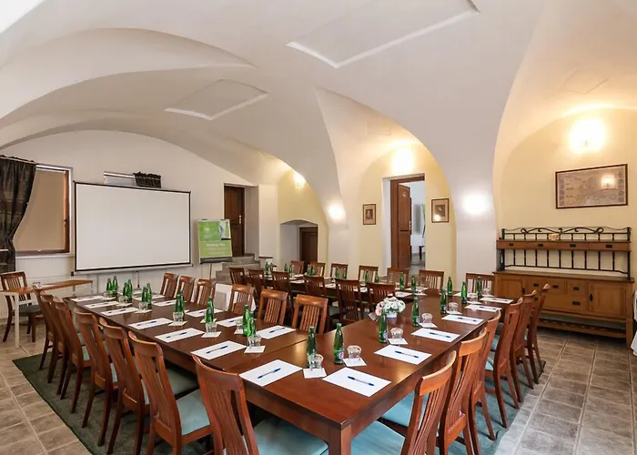 阿曼达胡斯托佩切葡萄酒健康酒店 4* Hustopeče