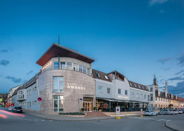 酒店 阿曼达胡斯托佩切葡萄酒健康酒店 Hustopeče