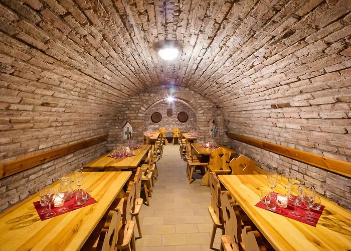 酒店 阿曼达胡斯托佩切葡萄酒健康酒店 Hustopeče