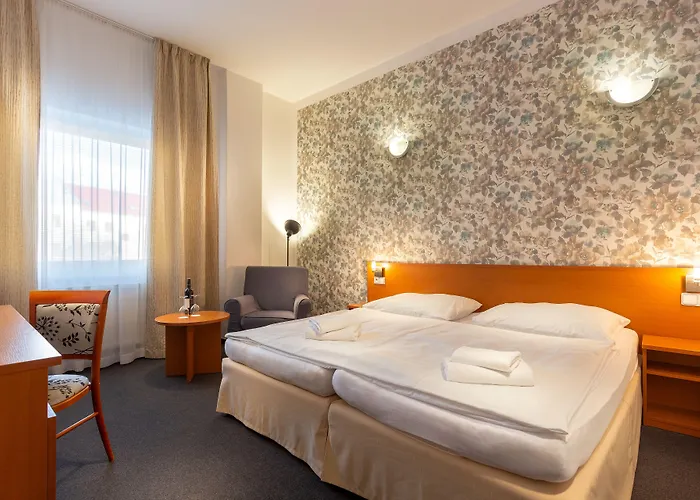 阿曼达胡斯托佩切葡萄酒健康酒店 4* Hustopeče
