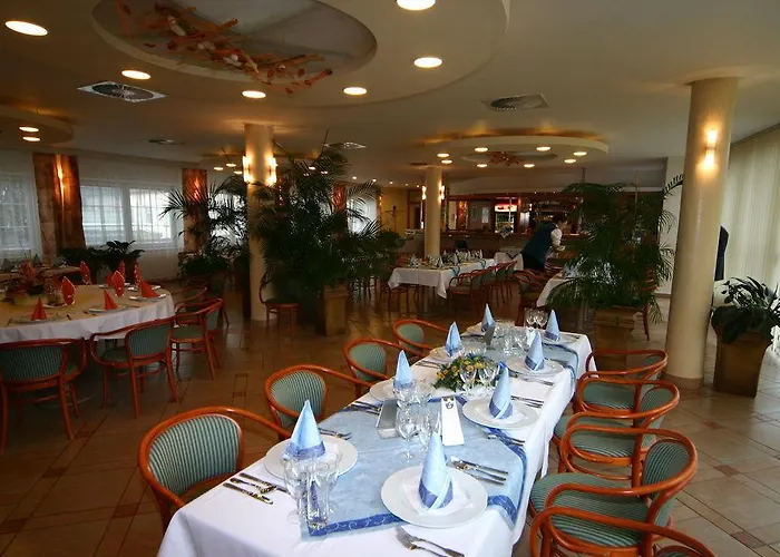阿曼达胡斯托佩切葡萄酒健康酒店 酒店 Hustopeče