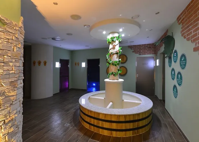 阿曼达胡斯托佩切葡萄酒健康酒店 4* Hustopeče